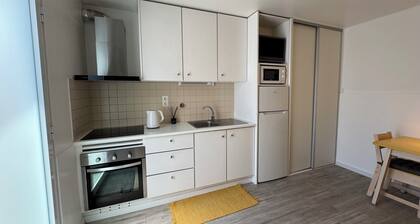 Complete studio in Ponta Delgada