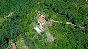 Vista aérea de una propiedad rural con varias edificaciones, una piscina y un bosque denso circundante.