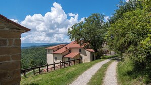 Una casa rural con un sendero de tierra que la lleva a ella, rodeada de vegetación y montañas al fondo.