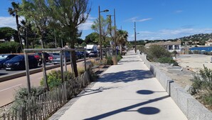 Ein gepflasterter Weg parallel zu einer Straße mit parkenden Autos, gesäumt von Bäumen und Straßenlaternen.