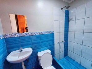 Combined shower/tub, spring water tub, hydromassage showerhead