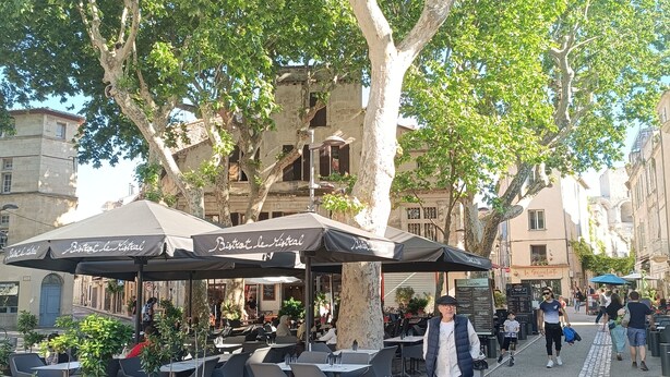 An outdoor café with tables and umbrellas, surrounded by trees and buildings. - Typical house in the historic center of the Arles bullring (Arles)