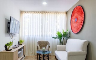 公寓 (207) | 起居区