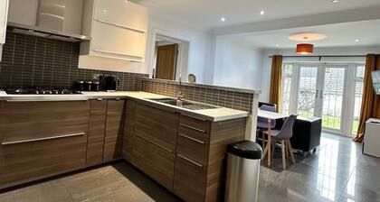 Modern 7 Bedroom 7 Bed Home