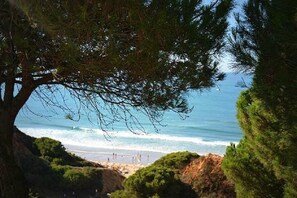 Playa