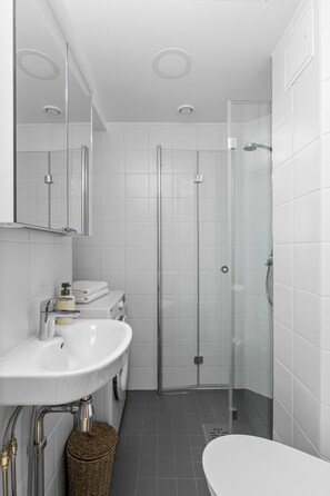 Hair dryer, bidet, towels, soap