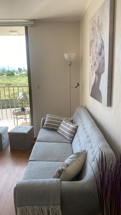 The most comfortable apartment in San Fernando
