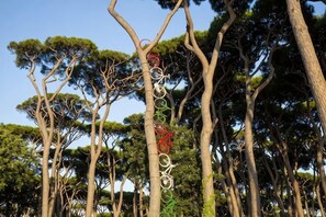 A tall, slender tree with a series of colorful, circular objects attached to its trunk. - hu Park Albatros Village (San Vincenzo)