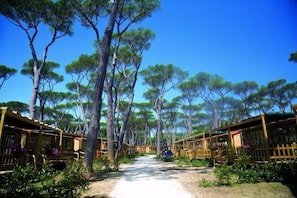 A pathway flanked by wooden structures, likely part of a resort or hotel, with tall trees in the background. - hu Park Albatros Village (San Vincenzo)