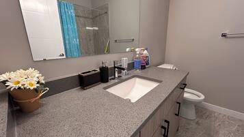 Secadora de cabello, toallas, jabón, papel de baño