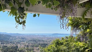A pergola with hanging vines and a view of a coastal cityscape. - Villa toulon air-conditioned panoramic sea view swimming pool jacuzzi sauna (Toulon)