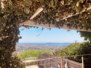 Área da propriedade