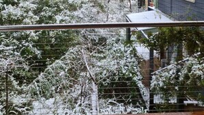 Blick durch einen Metallzaun auf einen mit Schnee bedeckten Garten mit einem Haus im Hintergrund.