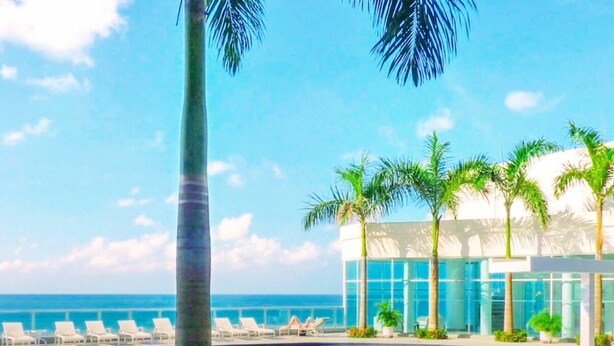A pool area with lounge chairs and a palm tree, overlooking a beach and a modern building.
