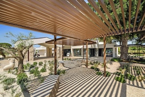 Een overdekt buitengebied met een pergola, een pad van stenen en een grote boom.