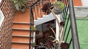 A staircase with potted plants on the handrail and steps, a brick wall, and a green artificial turf area. - The Grand Inca View Mansion - Cusco Retreat (Cusco)
