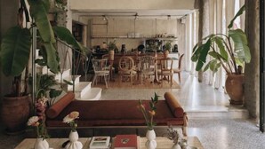 A spacious living area with a sofa, coffee table, and potted plants. A dining area with chairs and a table is visible in the background. - Mona Athens (Athens)