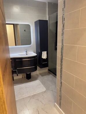 Shower, hair dryer, soap, toilet paper