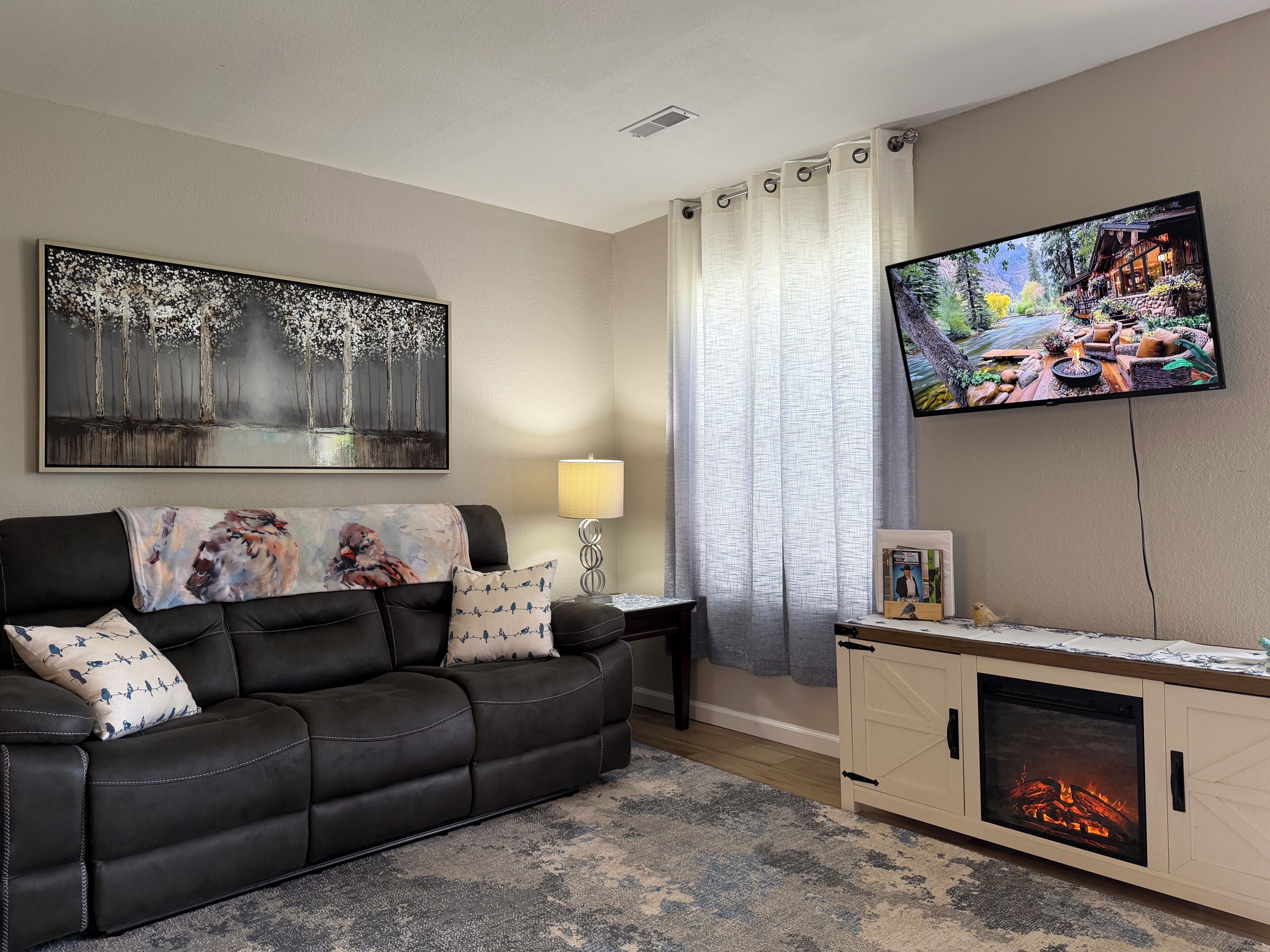 Smart-TV, Kamin