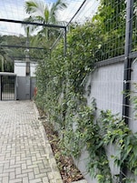 Un sendero pavimentado con una cerca de metal y vegetación.