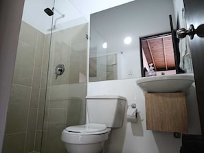 Ducha, jabón, papel higiénico