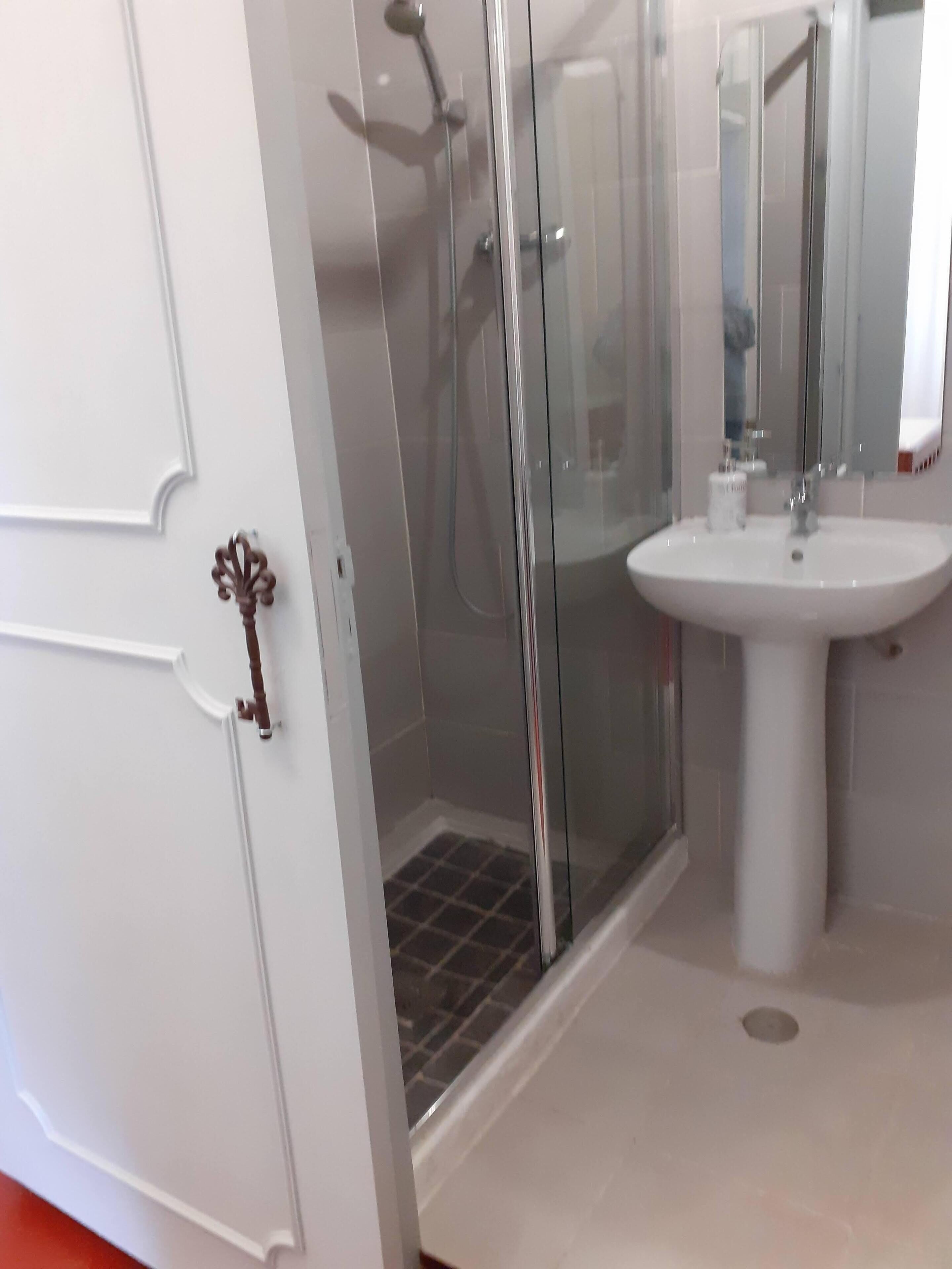 シャワー、ヘアドライヤー、タオル、トイレットペーパー