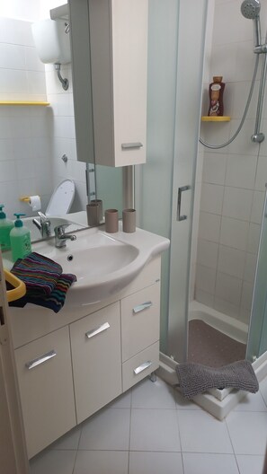 Shower, hair dryer, bidet, towels