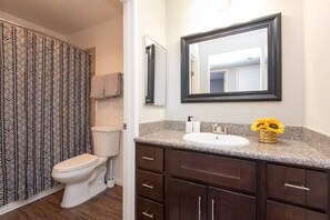 A bathroom with a toilet, a sink, and a mirror.