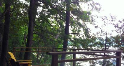 Bill's Rustic Cabin