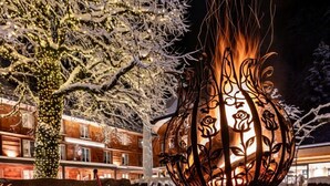 Un árbol cubierto de nieve con luces, un banco y un edificio al fondo.