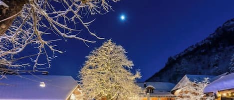 A snow-covered tree in front of a building with a sloped roof.