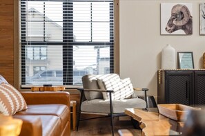 Smart TV, fireplace, books, stereo