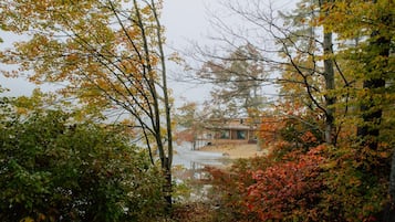Eksteriør