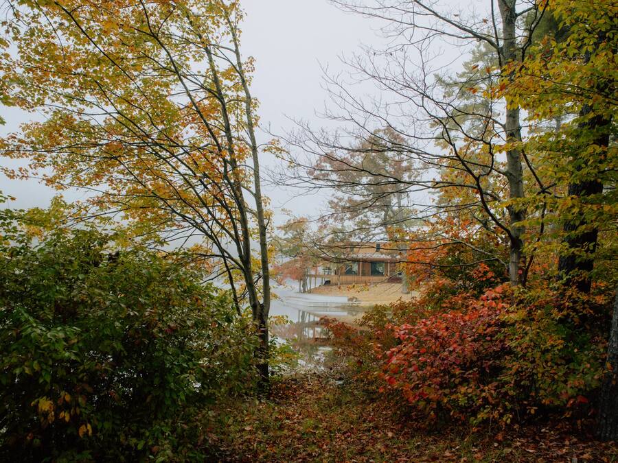 Eksteriør