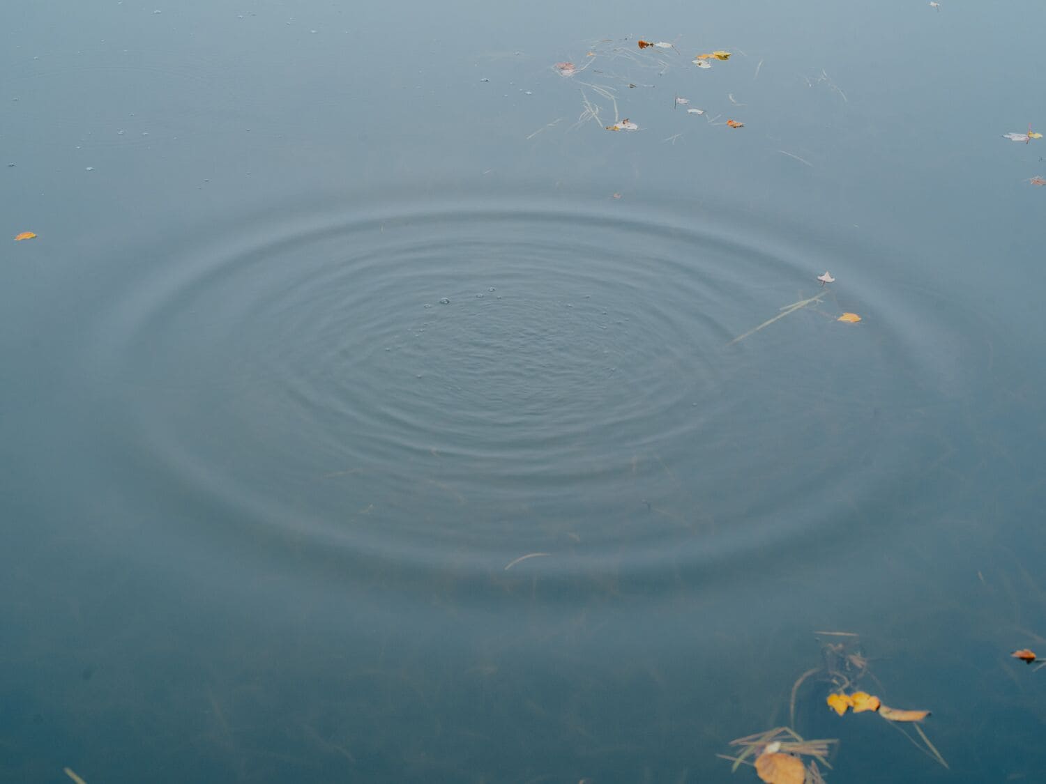Un cuerpo de agua tranquilo con ondas y restos flotando.