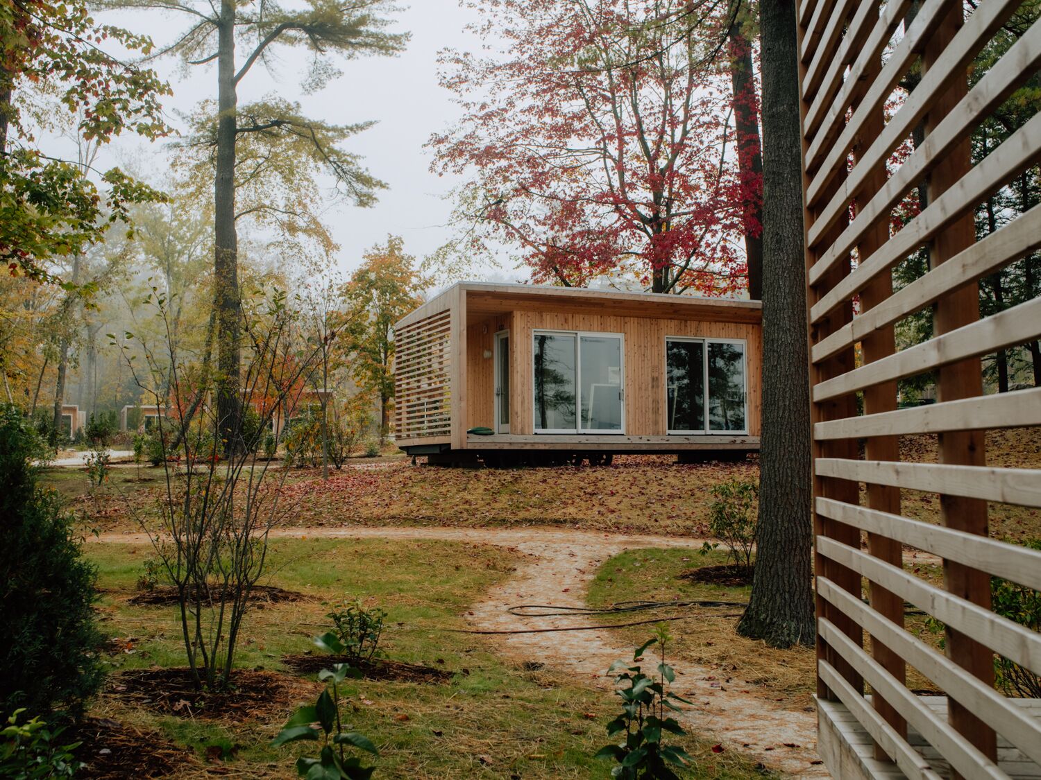 A modern wooden cabin with large windows, surrounded by a forested area with a path leading to it.