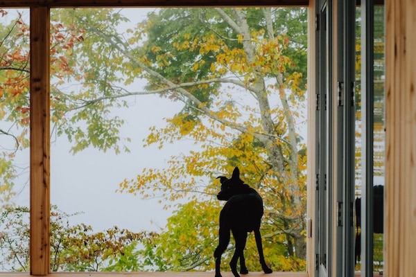 Utsikt fra overnattingsstedet