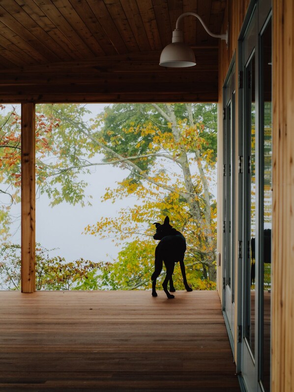 Vista desde la propiedad