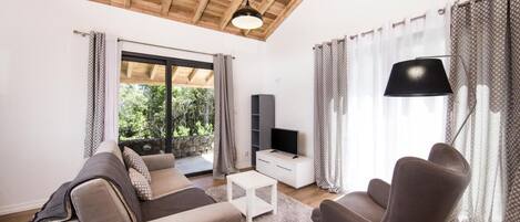 TV connectée, cheminée