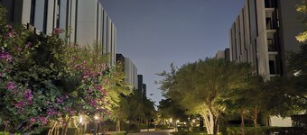 ミドリ エレガント リビング