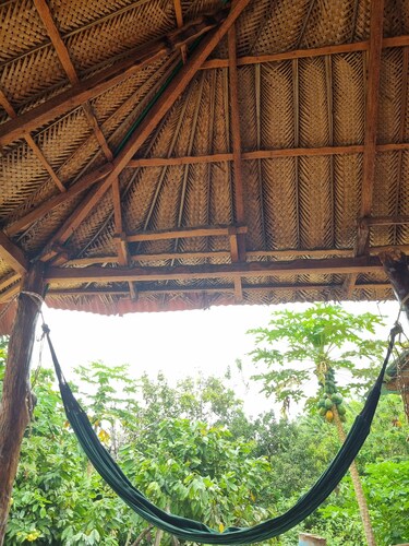 20 minutes away from the waterfalls of quebrada valencia. Hostel las cascadas is located.