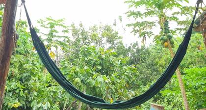 20 minutes away from the waterfalls of quebrada valencia. Hostel las cascadas is located.