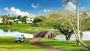 Un campo de golf con un puente, un carrito de golf y un estanque.