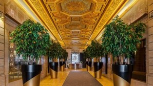 A hallway with a golden ceiling and large potted plants on either side. - City Club - Unit 429 (Cincinnati)