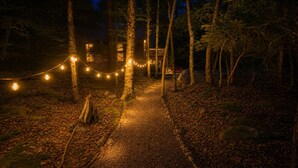 Un sendero en el bosque rodeado de árboles, iluminado con luces de cuerda.