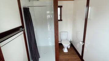 Shower, towels, soap, toilet paper