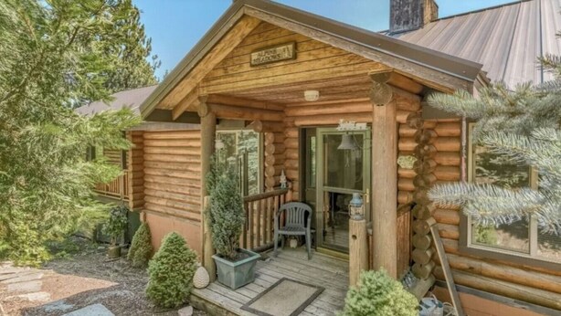 Een houten blokhut met een veranda, een bankje en bloempotten.