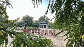 Jardin