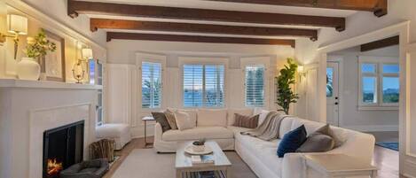 TV, fireplace, books