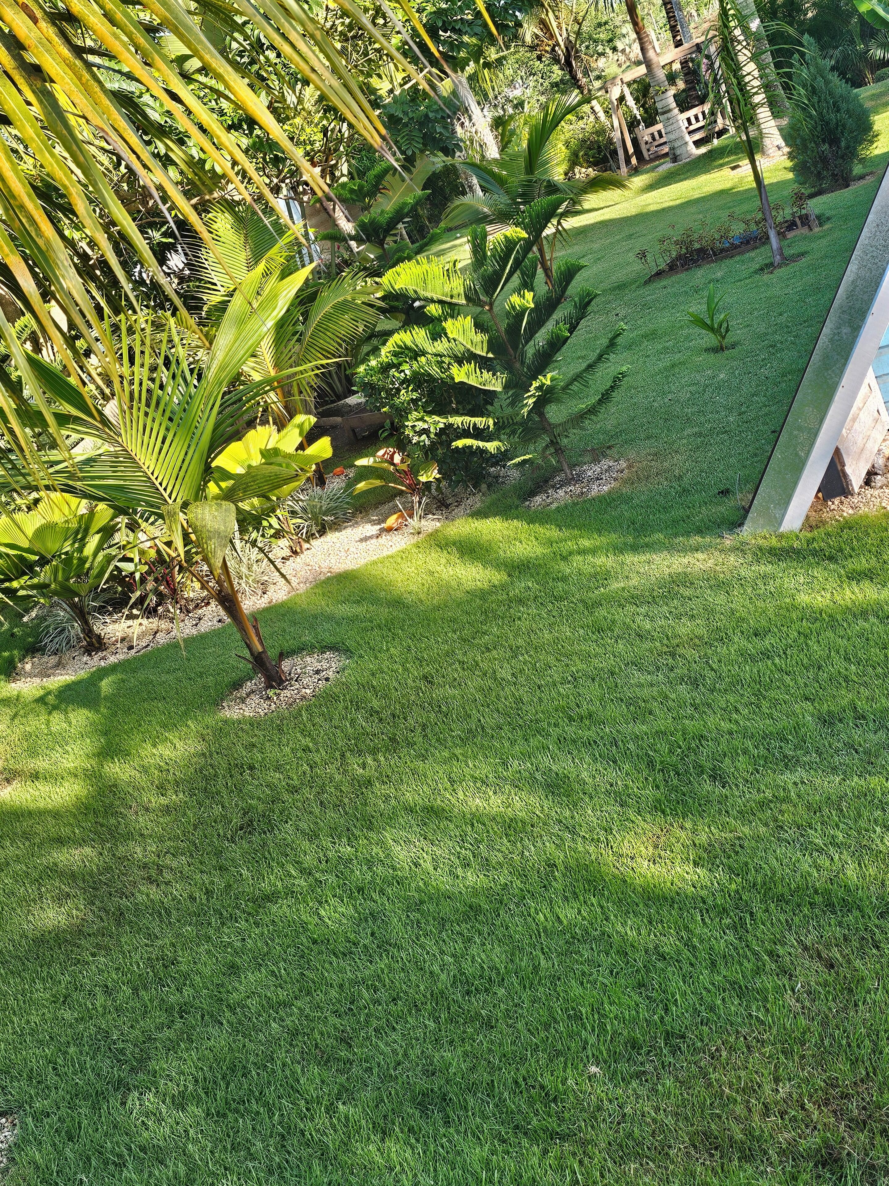 A well-maintained garden with various tropical plants and a neatly trimmed lawn.